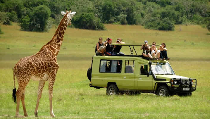 SELF DRIVE OPTION IN UGANDA