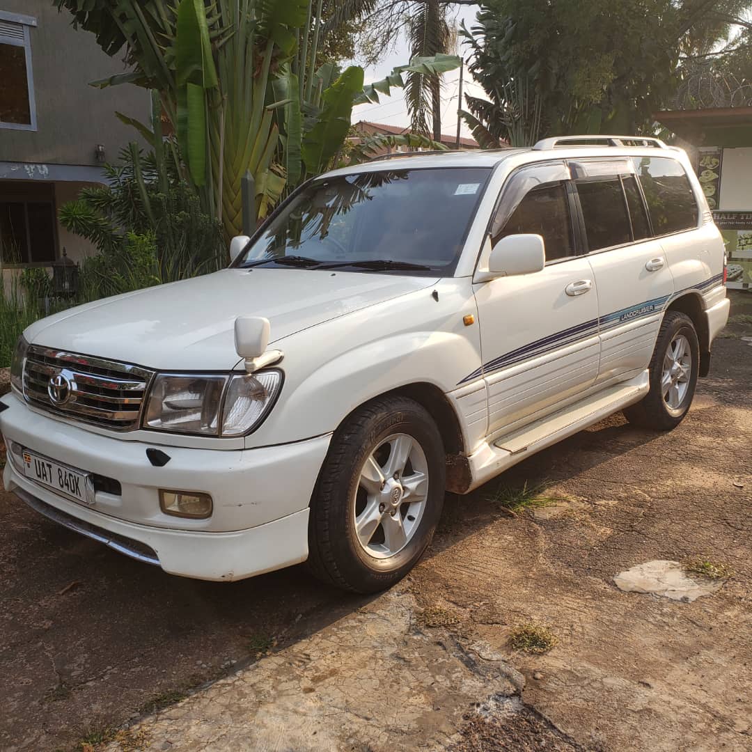 Uganda vs Rwanda: which is best for self-drive safari?