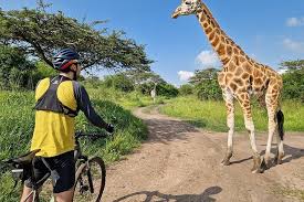 Cycling experience in Lake Mburo National Park