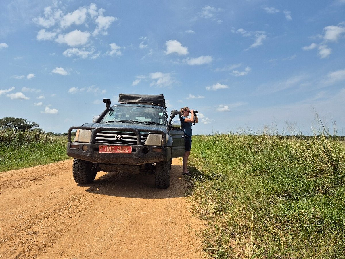 The Complete Guide to Camping and Self-Drive Safaris in Uganda